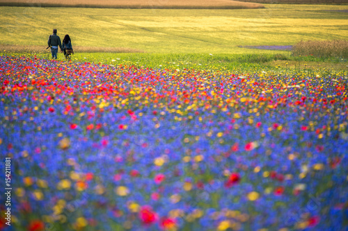 Obraz na plátně Castelluccio di Norcia, Umbria, Italy