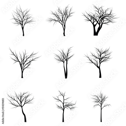 Trees with dead branches