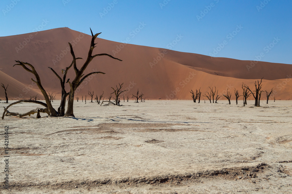 Sossusvlei Salt Pan Desert Landscape with Dead Trees, Dunes, People, Namibia