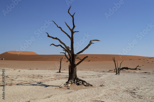Sossusvlei Salt Pan Desert Landscape with Dead Trees, Dunes, People, Namibia