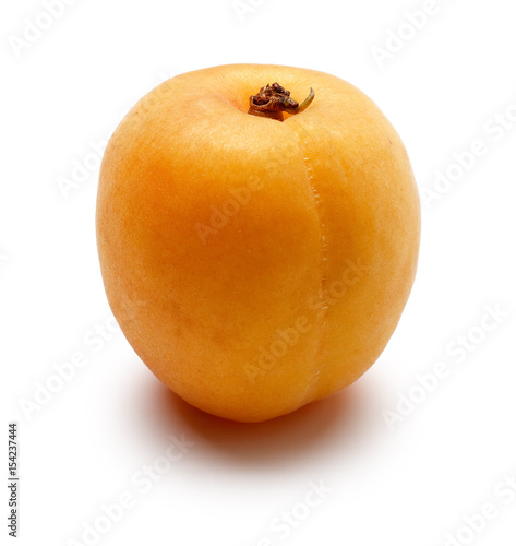 Apricot