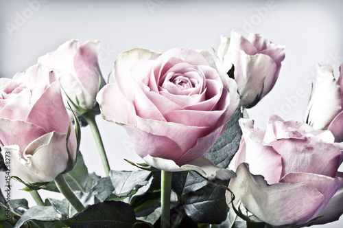 romantic bunch of flowers pink roses in special old retro vintage coloring with bright background 