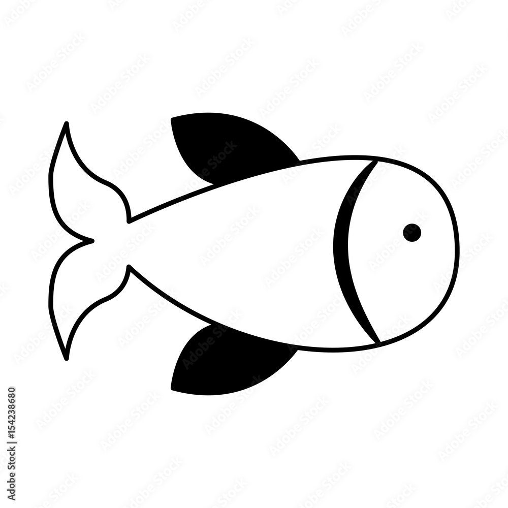 Obraz premium fish animal isolated icon vector illustration design