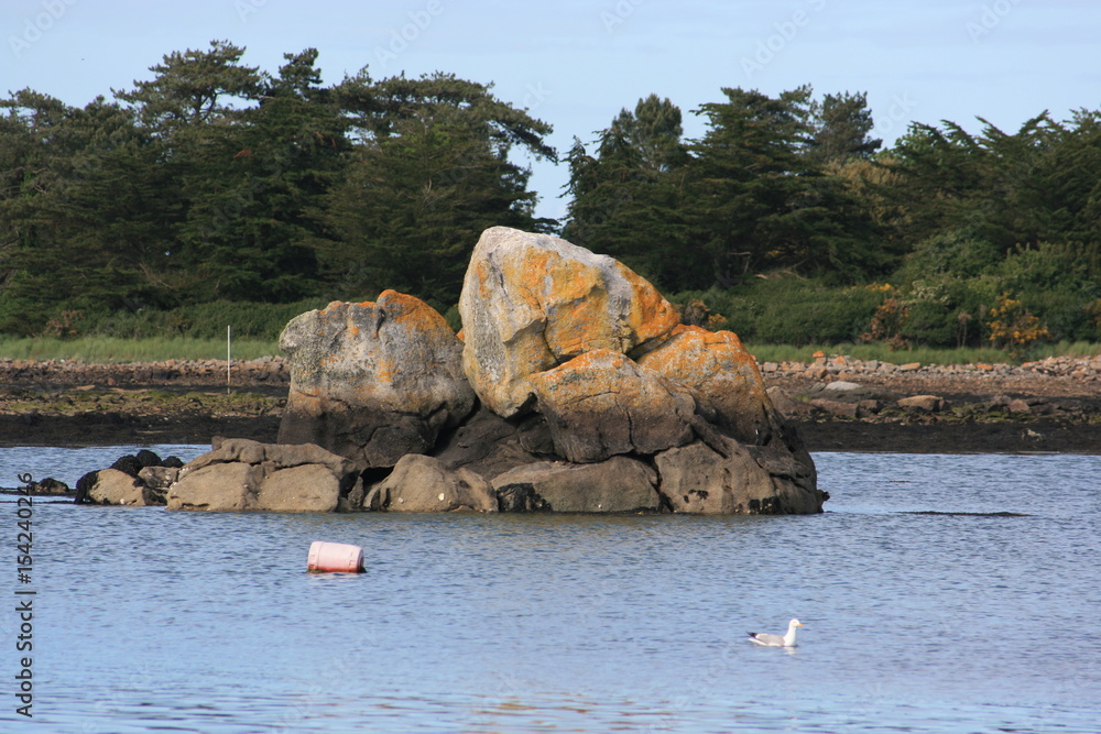 Rocher, ria d'Etel non loin du lieu_dit SaintGuillaume à Plouhinec