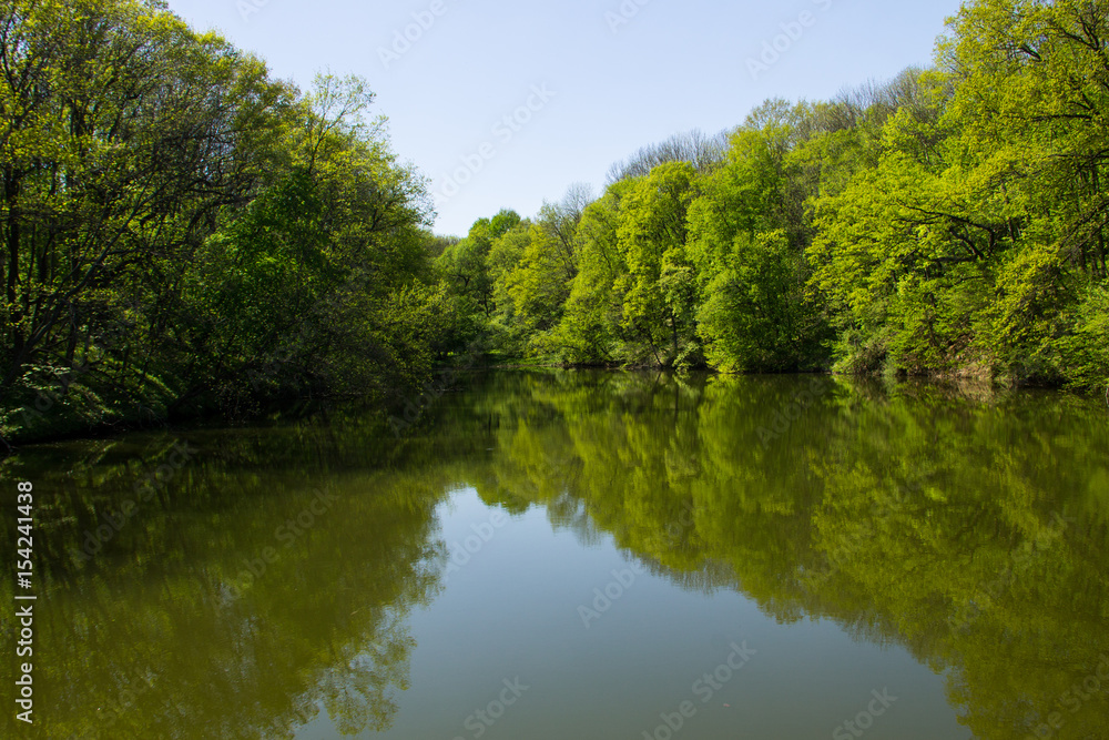 Lake in green forest