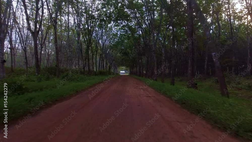 Aerial, of rubber plantation in Thailand Aerial, of rubber plantation in Thailand