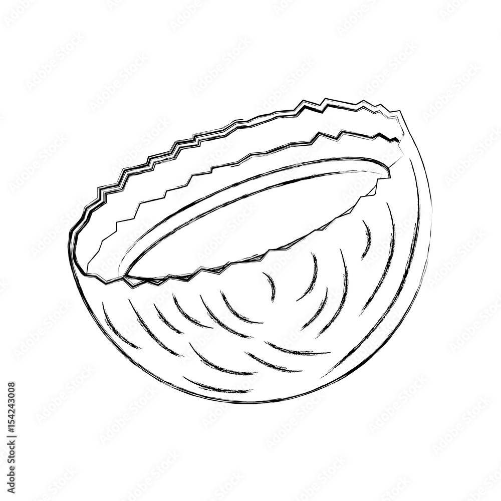 Fototapeta premium tropical coconut cocktail icon vector illustration design