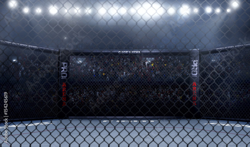 Empty mma arena side view under lights. complete tribune. 3D rendering