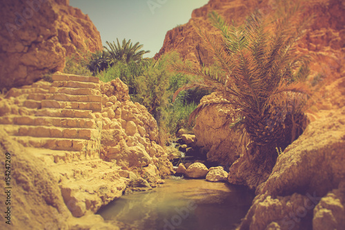 Canyons - Oasis of Nefta, Chebika, Sahara. Tunisia. photo