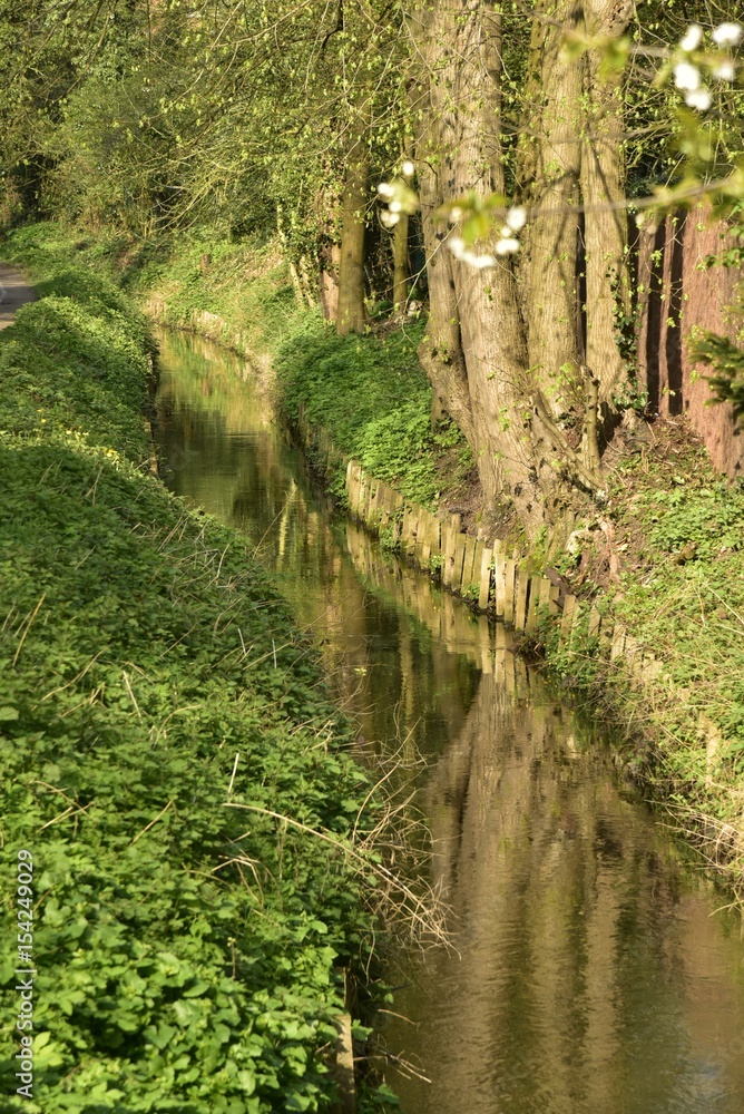 Fototapeta premium La Woluwe et ses berges en bois en pleine nature au printemps en aval du moulin à eau de Lindekemale à Woluwe-St-Lambert 