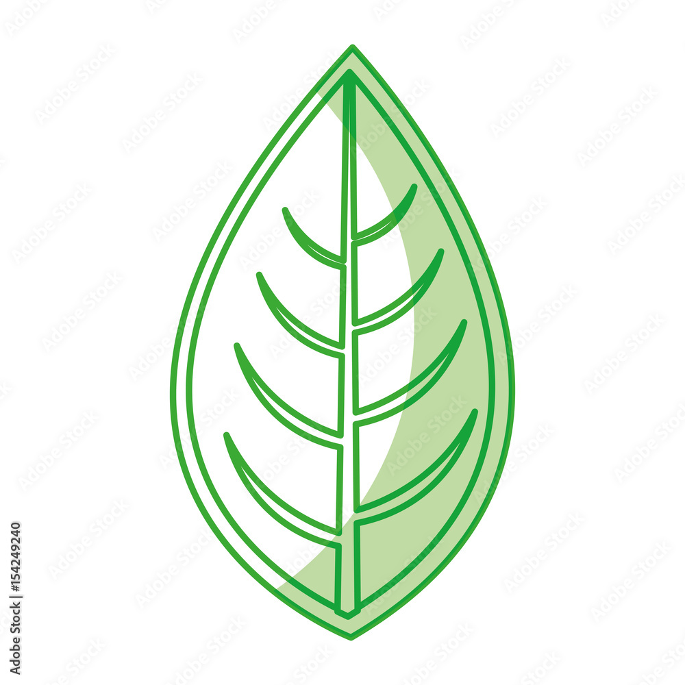 leaf plant seasonal icon vector illustration design leaf plant seasonal icon vector illustration design