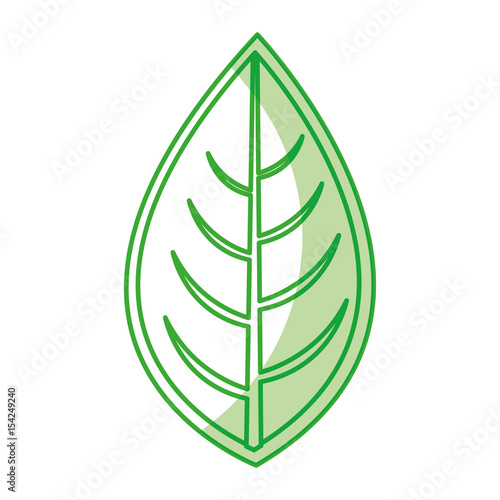 leaf plant seasonal icon vector illustration design