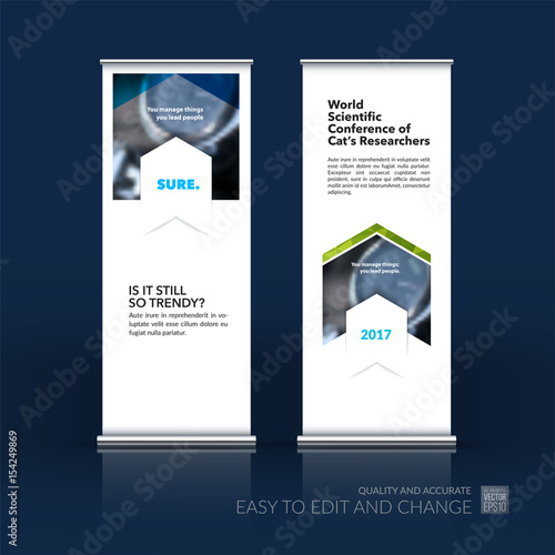 Abstract business vector set of modern roll Up Banner stand desi