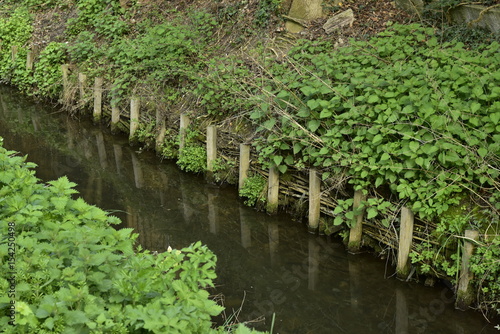 Les berges de la Woluwe avec des piquets en bois pour éviter l'érosion  photo