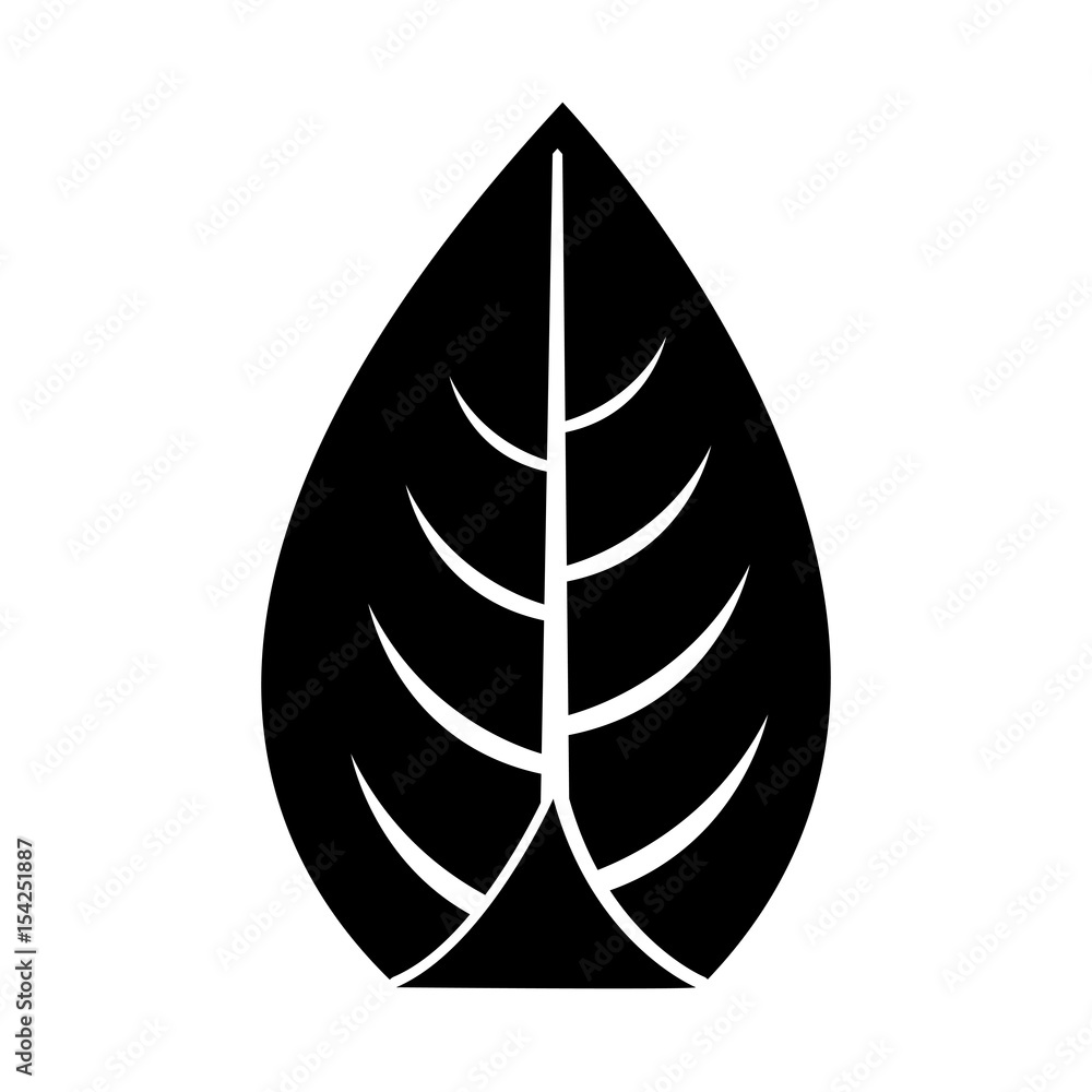 leaf plant seasonal icon vector illustration design