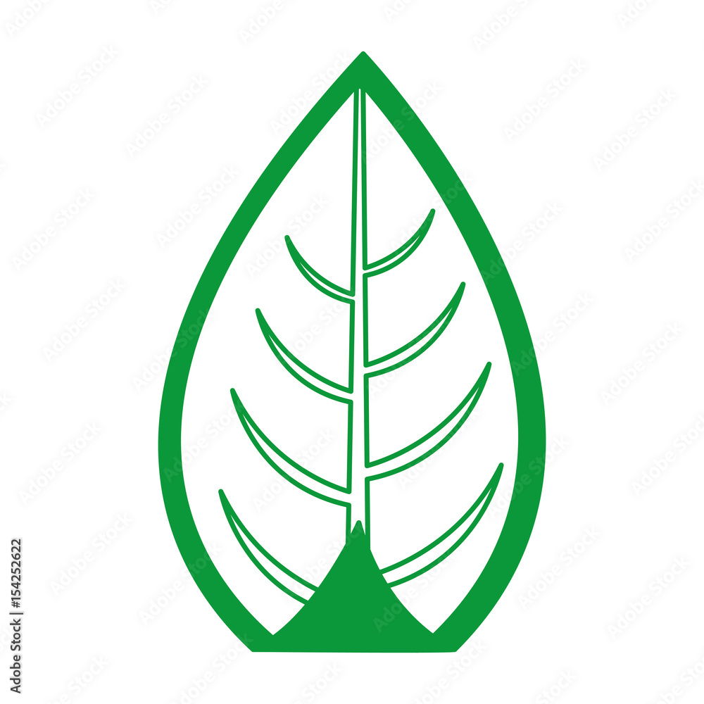leaf plant seasonal icon vector illustration design leaf plant seasonal icon vector illustration design