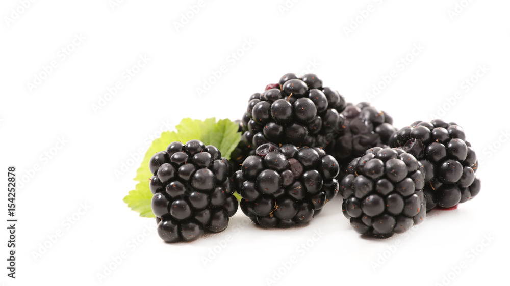 blackberry isolated on white blackberry isolated on white