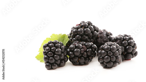 blackberry isolated on white