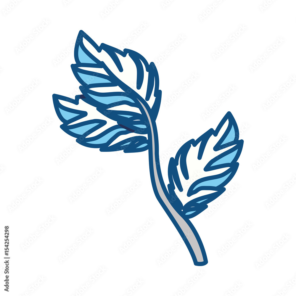 Mint plant leaves icon vector illustration graphic design Mint plant leaves icon vector illustration graphic design