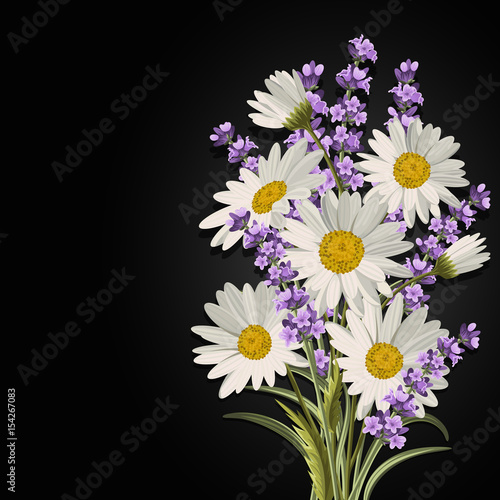 Beautiful daisies and lavender flowers