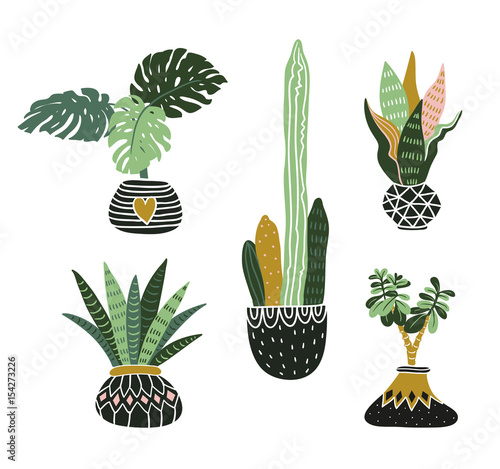 Hand drawn tropical house plants. Scandinavian style illustration, modern and elegant home decor. Vector design elements.