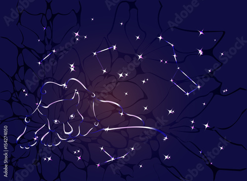 Zodiac constellation of the lion or a black Panther against a background of stars and space nebula. EPS10 vector illustration.