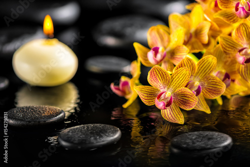beautiful spa composition of blooming twig orange orchid flower with water drops  candle and zen basalt stones  close up