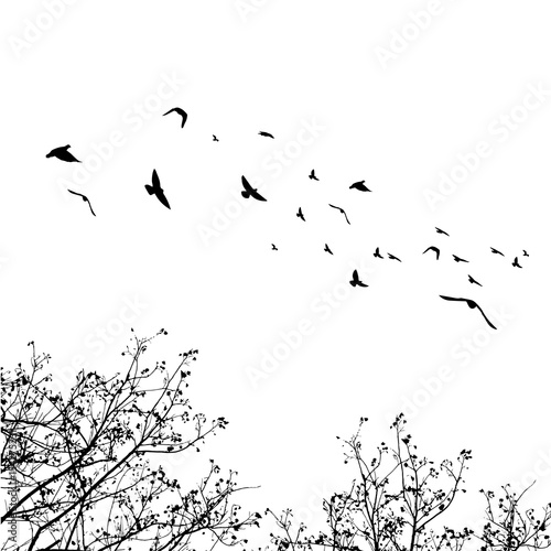 Flying birds and branch silhouettes on white background. Vector illustration. isolated bird flying and branch.