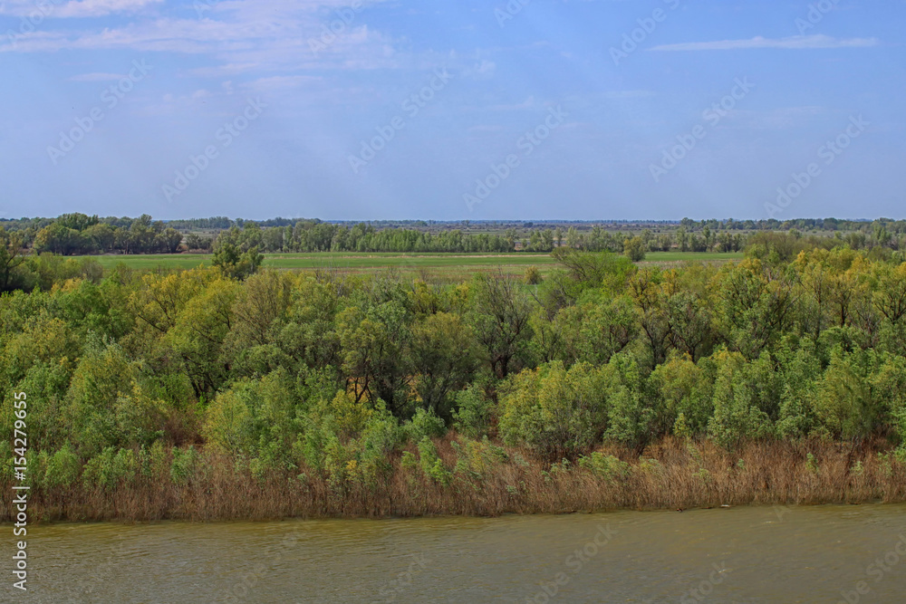 Spring river and green forest landscape Spring river and green forest landscape