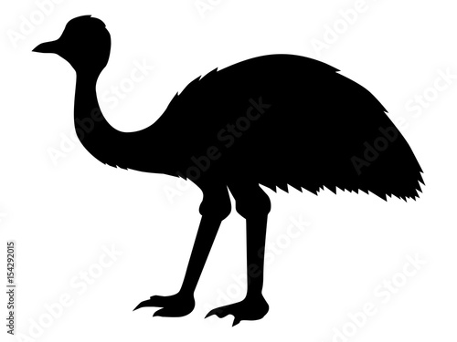 ostrich emu