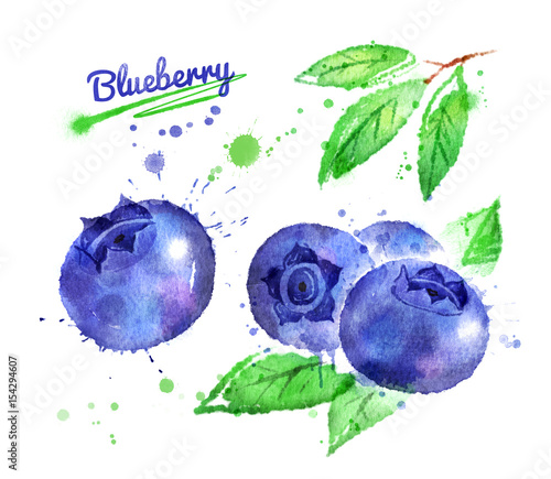 Watercolor illustration of blueberry