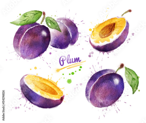 Fotografia Watercolor illustration of plum