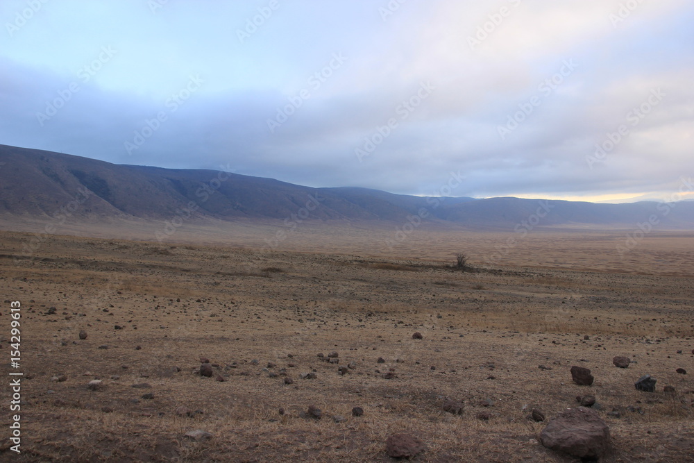 African wildlife, Tanzania, Ngorongoro Conservation Area