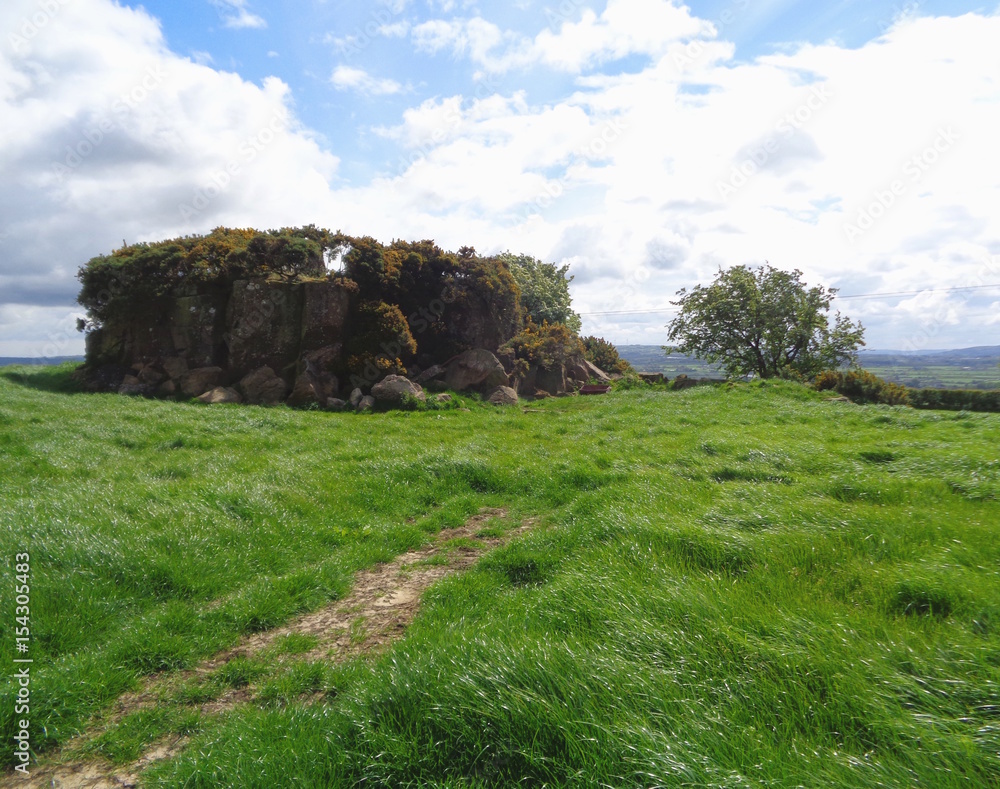 Ancient Irish mound