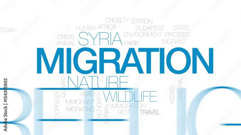 Migration animated word cloud, text design animation. Kinetic typography. Migration animated word cloud, text design animation. Kinetic typography.