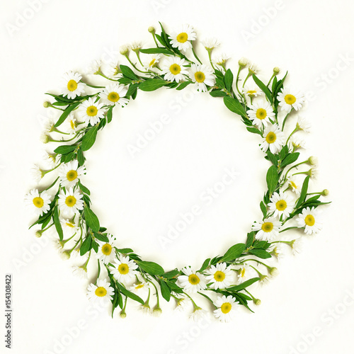 Fototapeta Naklejka Na Ścianę i Meble -  Daisy flowers round frame