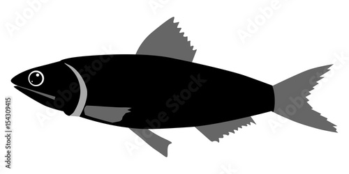 anchovy