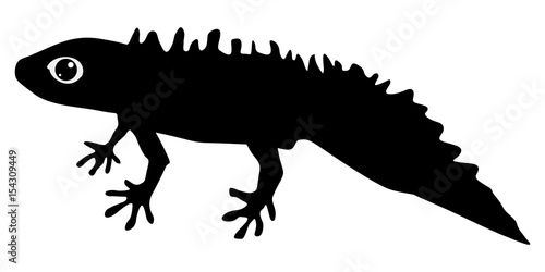 newt