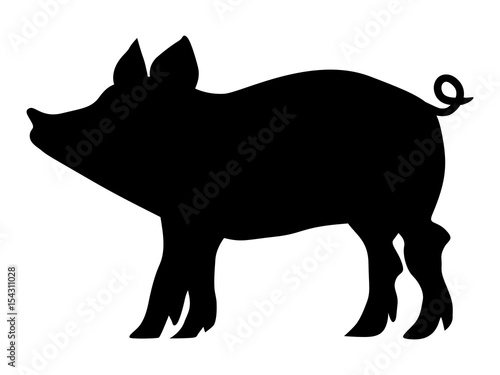 piggy