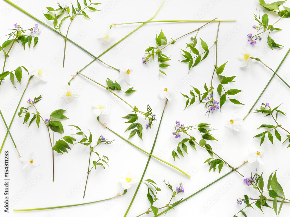 Abstract floral background. Flowers and leaves on a white background. Flower pattern. Abstract floral background. Flowers and leaves on a white background. Flower pattern.
