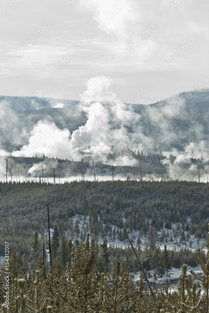 Norris Geyser Basin, Winter, Yellowstone NP Norris Geyser Basin, Winter, Yellowstone NP