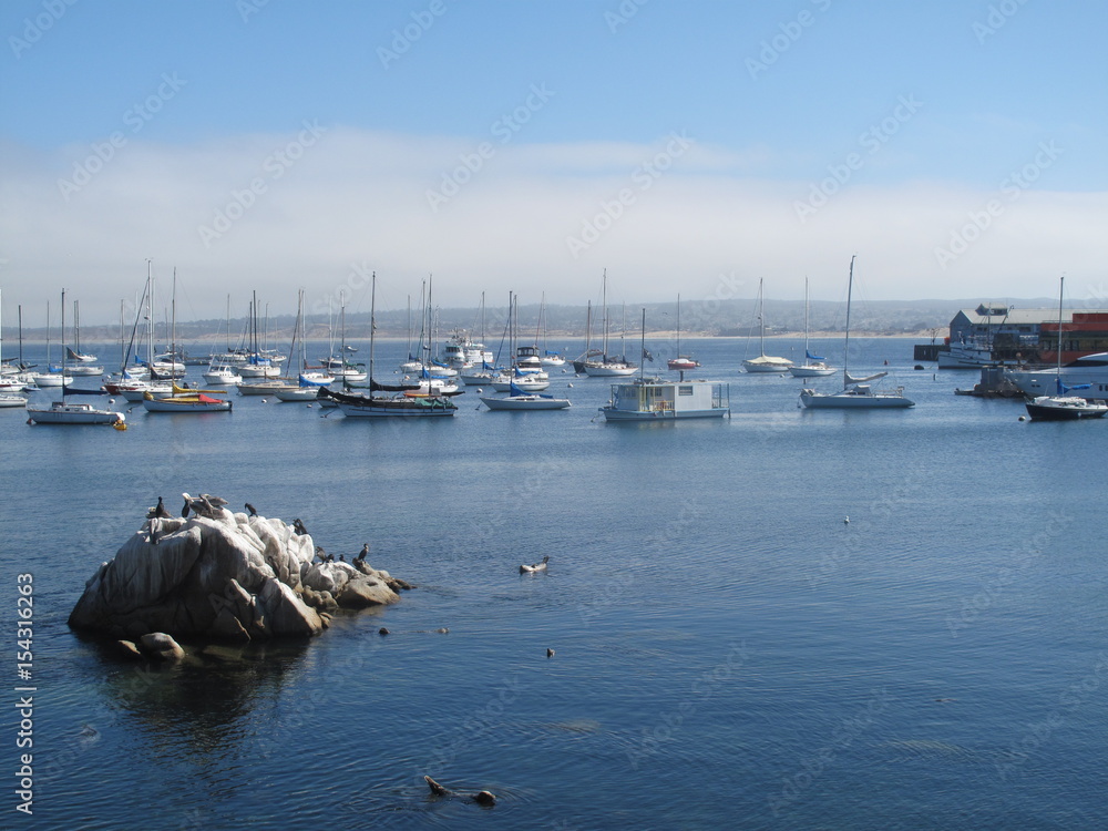 Obraz premium Yachts of Monterey