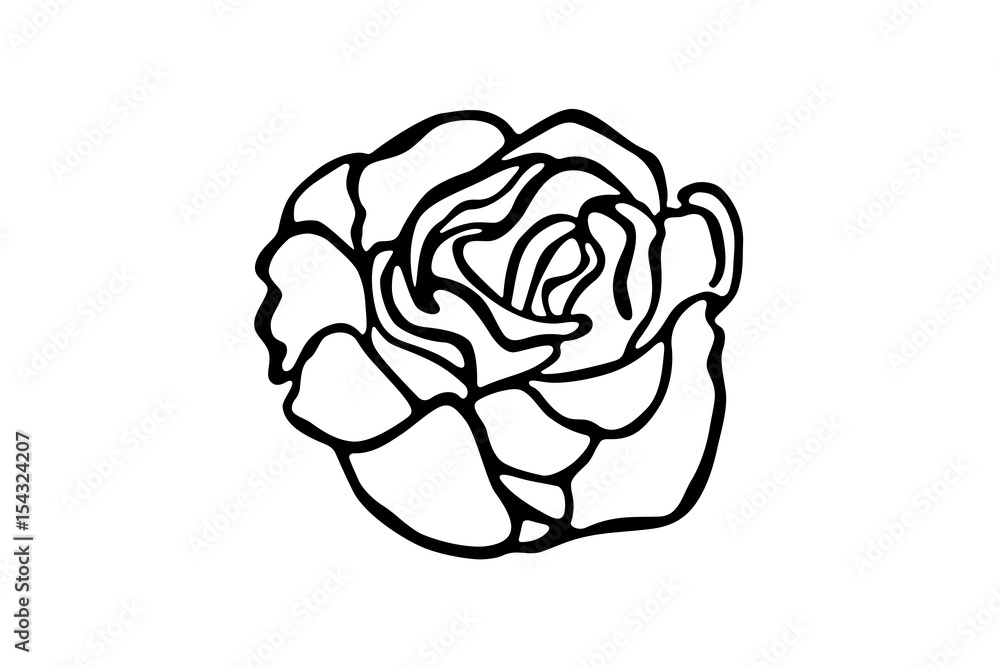 Vector illustration of a rose, hand drawn outline, Vector illustration of a rose, hand drawn outline,
