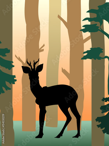 roedeer in the forest
