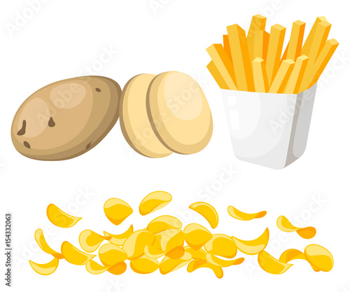 Vector illustration isolated on white background Potatoes Set of whole, slices, half, lobule, circle potatoes chips French fries