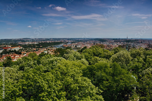 view to Vltava river in Prague with green trees in foreground from Petrinska rozhledna tower in sping Czech republic