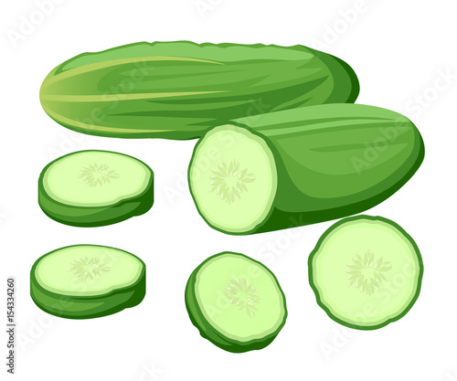 Vector illustration isolated on white background Fresh cucumber: cut, sliced and cubed. Cooking illustration in modern flat vector style.