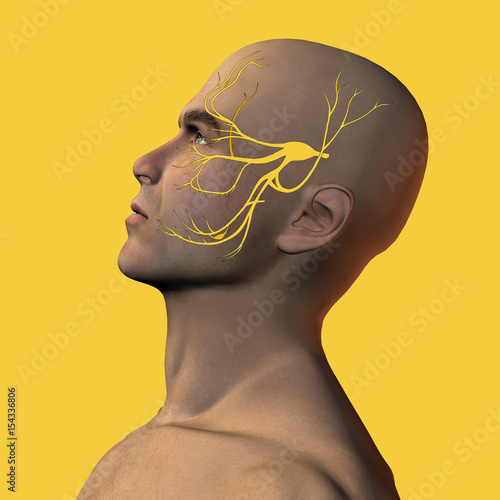 3D illustration of male face with trigeminal nerve 