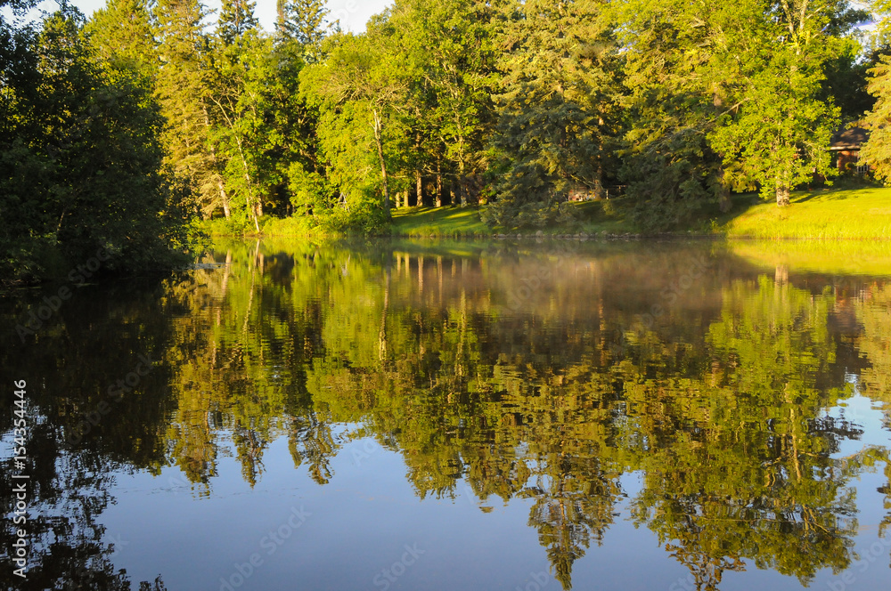 summer lakeshore with reflection in water