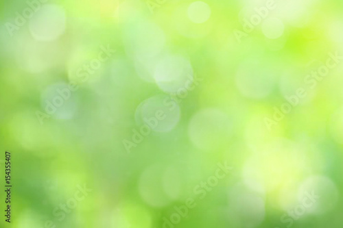 Light green abstract background blur.